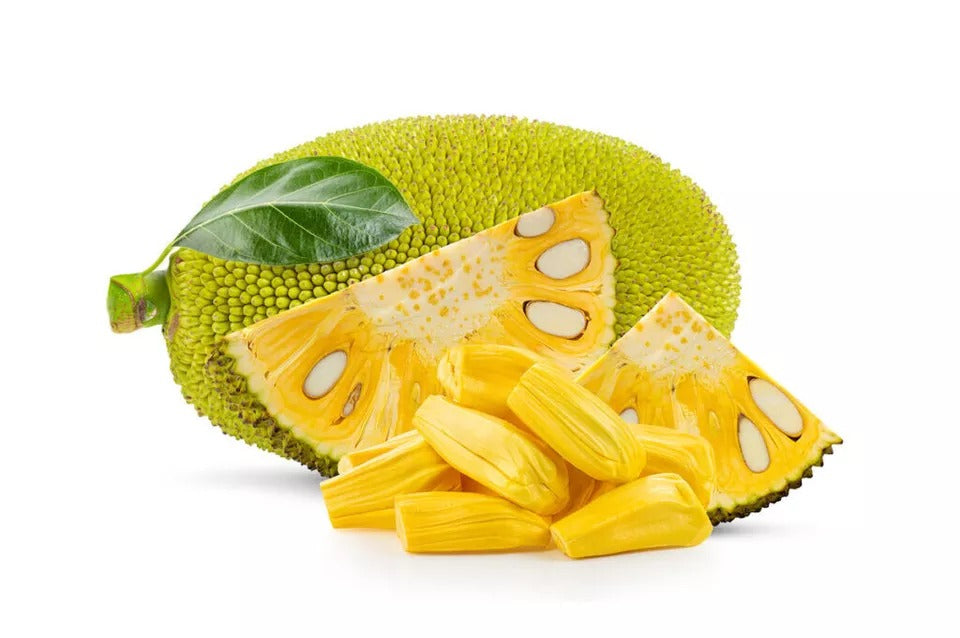 Jackfruit Seeds, World Largest Tropical Fruit, Fresh Viable Seeds