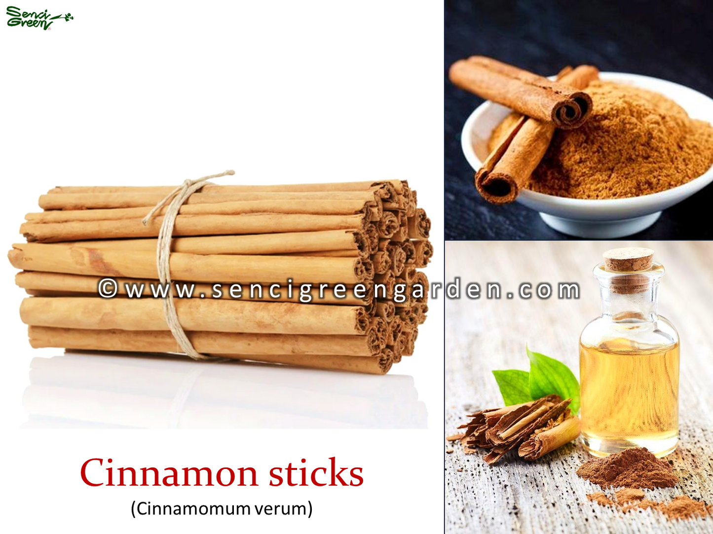 ceylon cinnamon