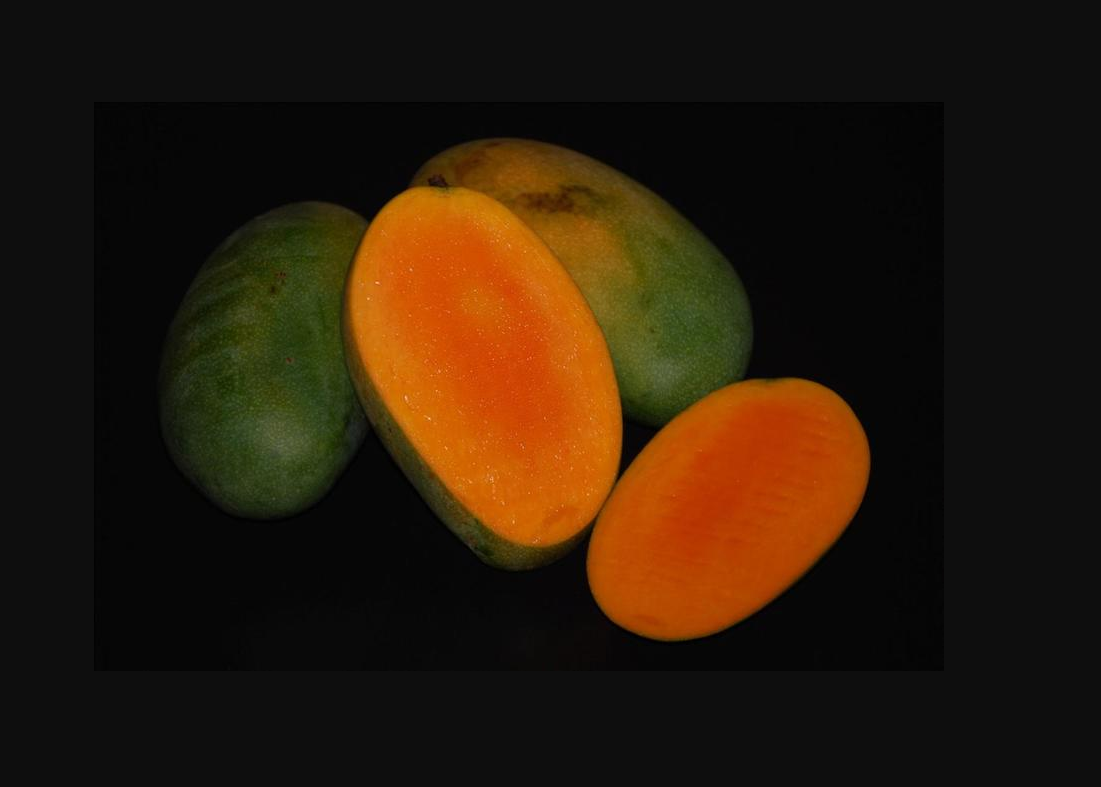 Delicious Mango Seeds (Mangifera indica)
