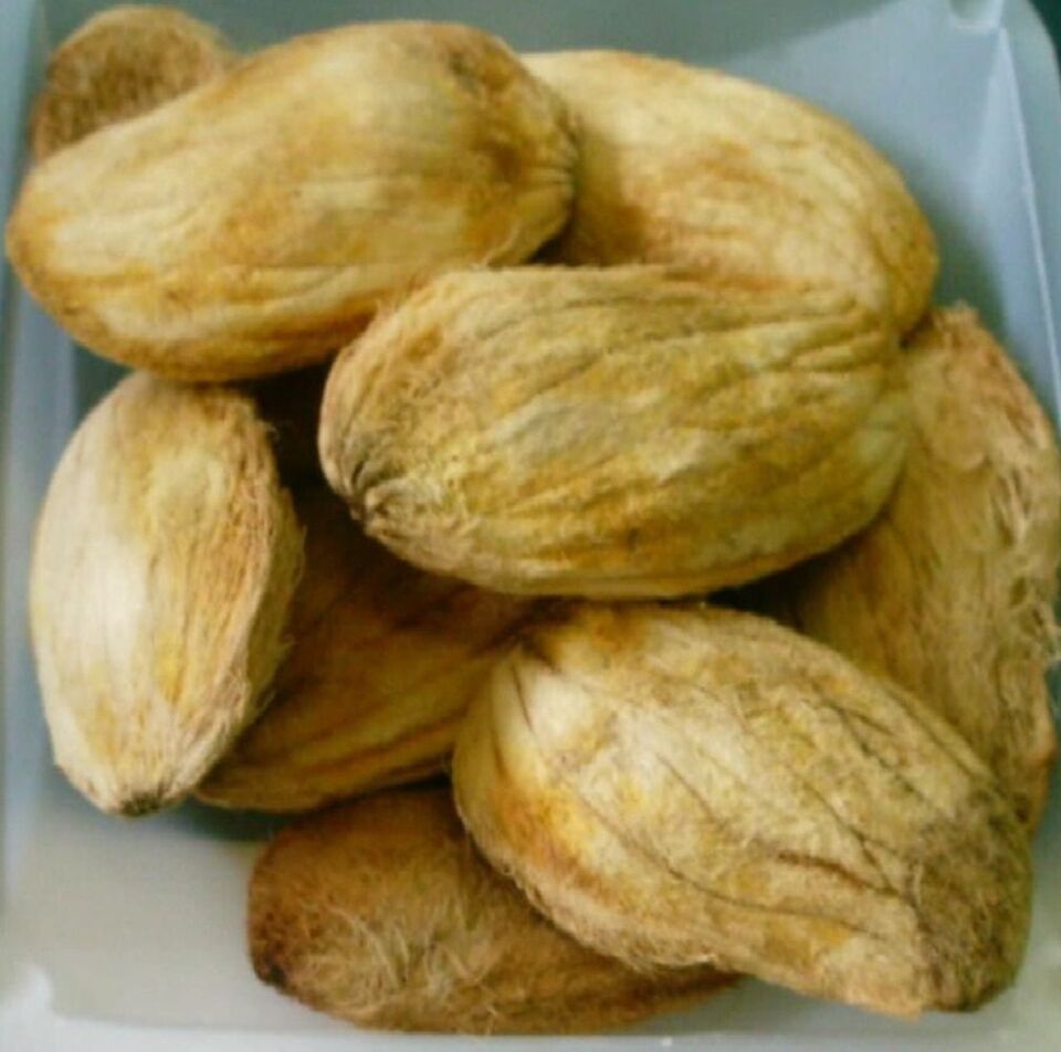Delicious Mango Seeds (Mangifera indica)