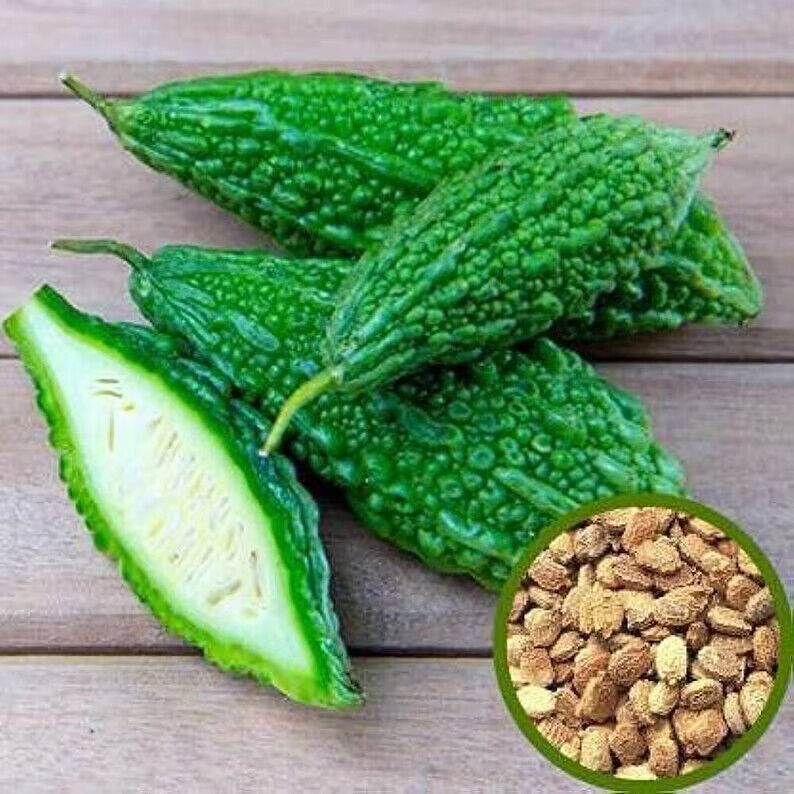 Bitter Gourd Seeds (Momordica charantia) Vegetable Seeds Organic fresh 10 seeds