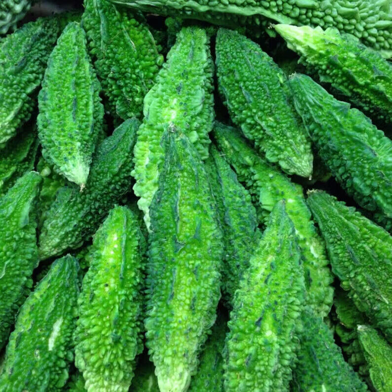 Bitter Gourd Seeds (Momordica charantia) Vegetable Seeds Organic fresh 10 seeds