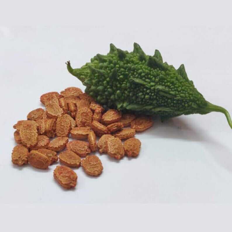 Bitter Gourd Seeds (Momordica charantia) Vegetable Seeds Organic fresh 10 seeds