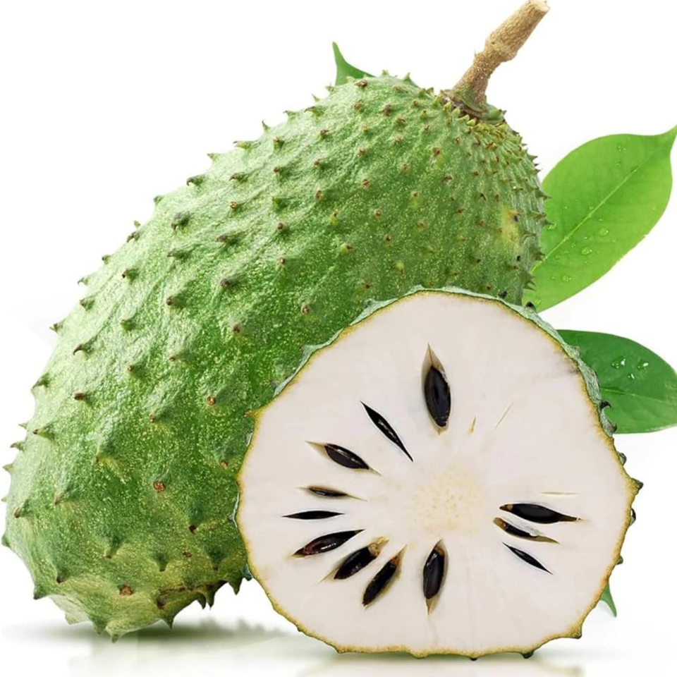 Soursop Annona Seed (Annona muricata) Fruit Muricata Organic fresh