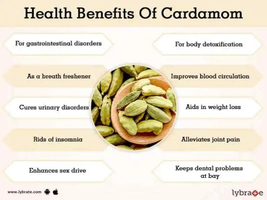 Cardamom Organic Natural Ceylon Pure Seeds Pods Quality x25 fresh seeds