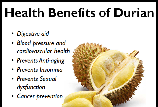 Durian Seeds (Durio zibethinus) Organic fresh x2 Seeds