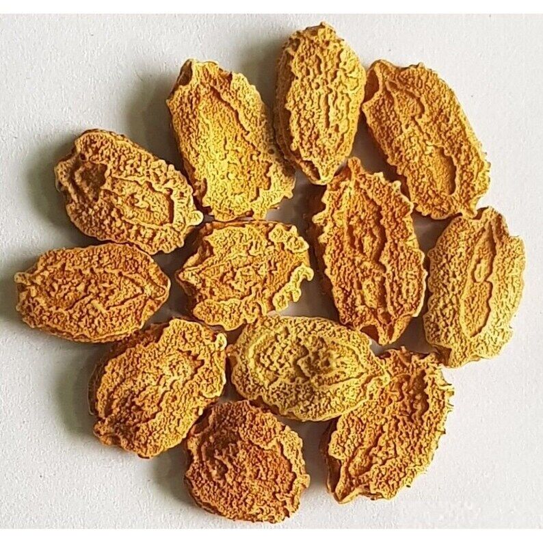 Bitter Gourd Seeds (Momordica charantia)  Vegetable Seeds Organic fresh 10 seeds