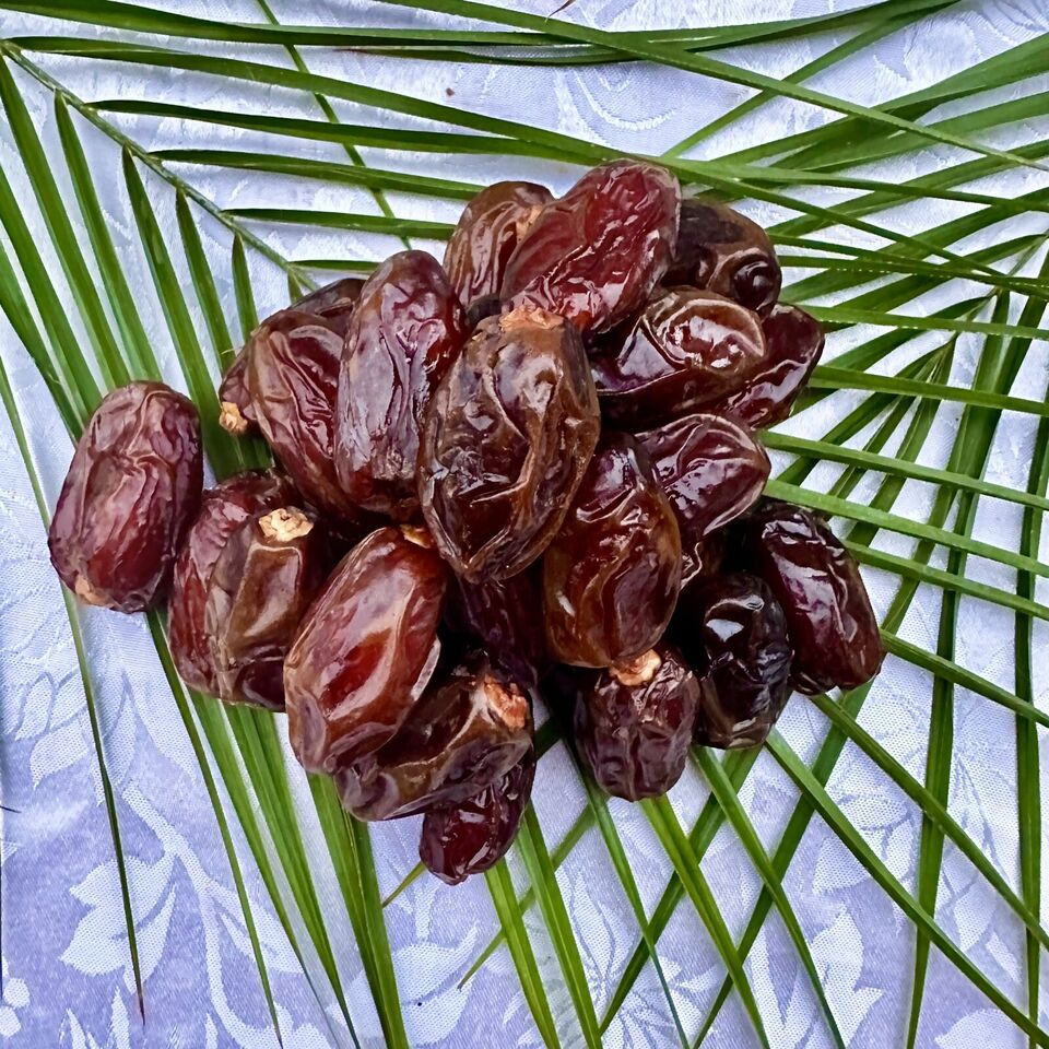 Phoenix dactylifera seeds