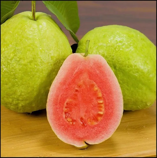 Red Guava Seeds Thai Big Pink Guava Seeds Thai Guava Planting Organic Rare 50 Seeds