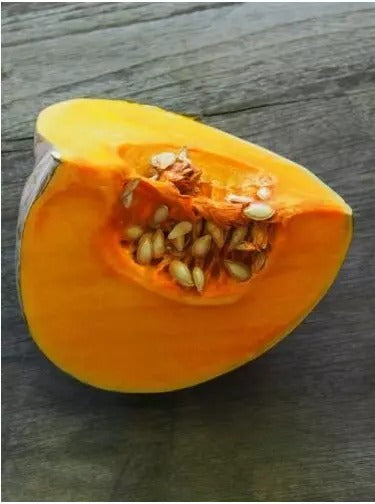 Pumpkin Organic Heirloom Ceylon 30 Seeds (Cucurbita pepo) NON-GMO FRESH