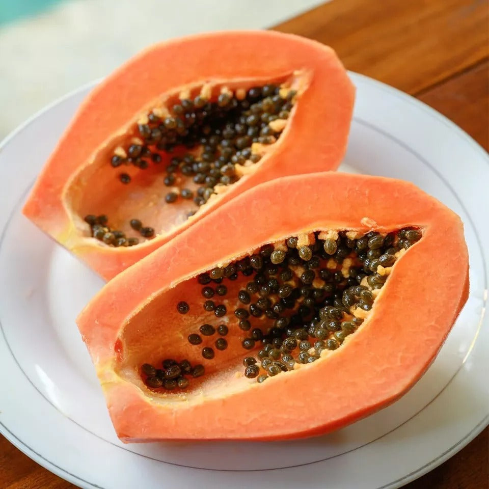 Papaya Seeds Rare Dwarf Papaya (Carica papaya) Fruit Plants NON GMO