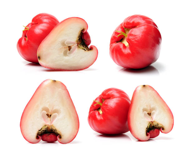 Jambu /Red Wax Apple (Syzygium samarangense) x10 Seeds