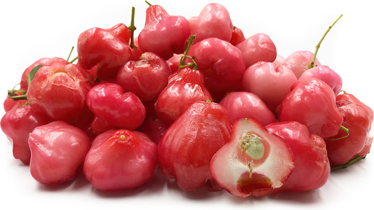 Jambu /Red Wax Apple (Syzygium samarangense) x10 Seeds