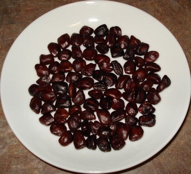 Siyambala seeds (Tamarindus indica) Natural Organic 10 Seeds