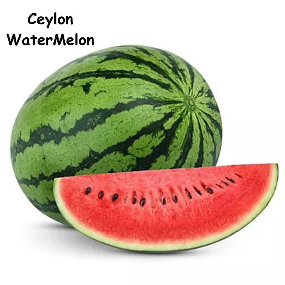 Fresh WATERMELON Seeds Garden Sweet Fruit Organic