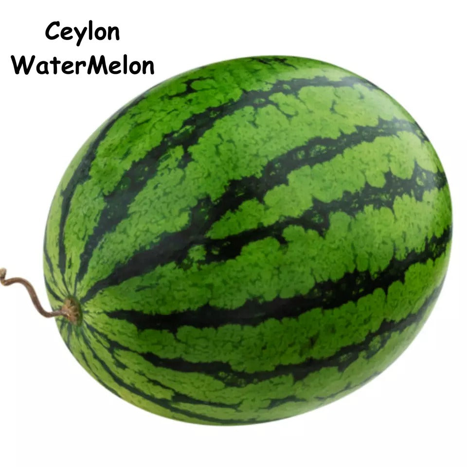 Fresh WATERMELON Seeds Garden Sweet Fruit Organic