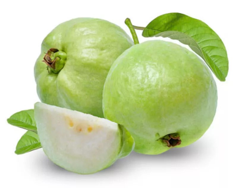 White Guava Fruit (Psidium guajava) Natural Organic Fruit Seeds High Quality