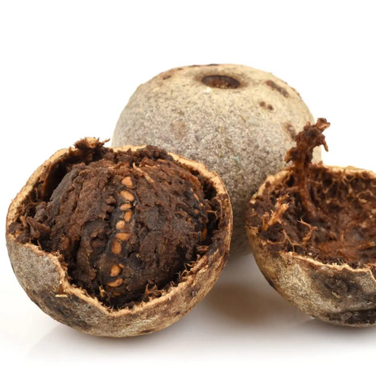 Wood apple seeds (Limonia acidissima) fresh x50 seeds